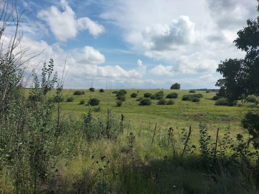 0 Bedroom Property for Sale in Bethlehem Rural Free State